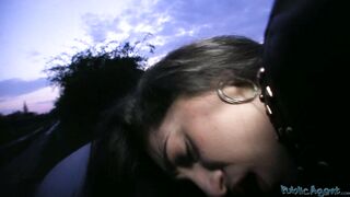 PublicAgent - Juli (E90)