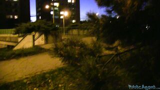 PublicAgent - Adrien (1140)