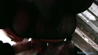 PublicAgent - Leony (E160)