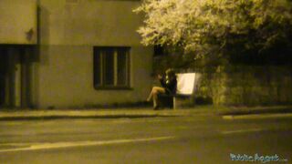 PublicAgent - Catlin (E187)