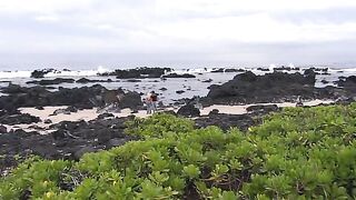 Private Tropical 26 - Madagascar (2006)