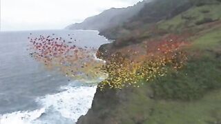 Private Gold 21 - Hawaiian Ecstasy (2000)