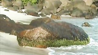 Private Gold 35 - African Dream (1999)