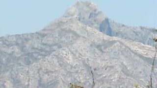 Private Gold 47 - Bitches (2000)