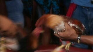 Private Gold 73 - Mission Possible (2005)