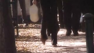 Private Sports 6 Soccer L.o.l.i