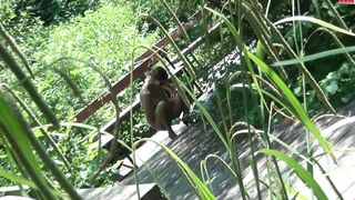 So eine Schweinerei - Mitten im Park AO durchgefickt