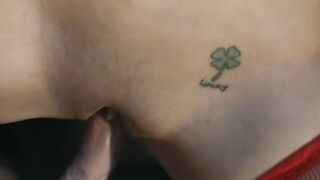 Amateur Cream Pies 1 - Fiona Cheeks