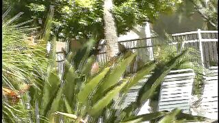 Amari & Harrison-Tape3