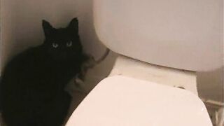 Annie & Bonnie-Tape1