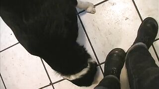 Annie & Bonnie-Tape3