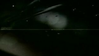 Woodman On Top - Adventures Of Pierre Woodman 4