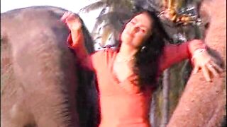 Woodman On Top - Adventures Of Pierre Woodman 4