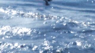 RealityKings.com - Sea do me