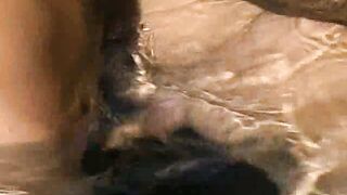 Judith Fox - Private Classics 2 Madness