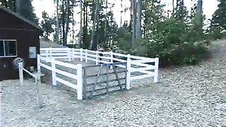 Annie Cruz, Joey Ray - SexAndSubmission