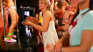 DSO Cockalicious Contest Part 5 (2014)