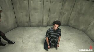 TsSeduction.com  - SexyJade and Lerock