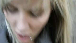 CZECH STREETS 51 (2012)