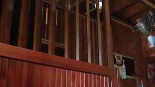 CZECH STREETS 61 (2012)