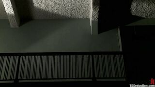 TsSeduction.com - YasminLee and Lance