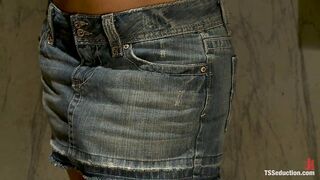 TsSeduction.com - Foxxy and Lance