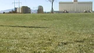 BabyGotBoobs - Madison Scott