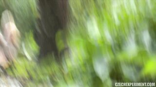 CZECH EXPERIMENT 4 - JANA 2015