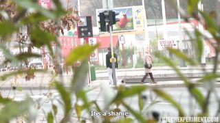 CZECH EXPERIMENT 8 - NICOLA 2015