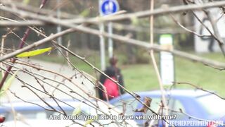 CZECH EXPERIMENT 6 - PETRA 2015