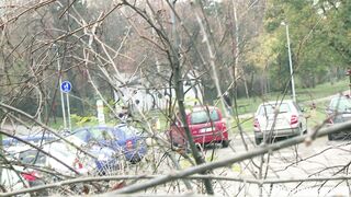 CZECH EXPERIMENT 6 - PETRA 2015