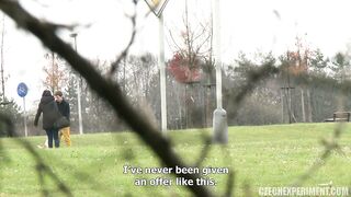 CZECH EXPERIMENT 10 - PETRA 2015